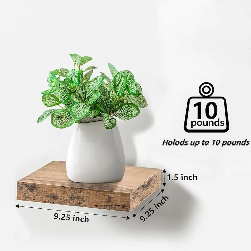 Floating Shelf for Wall 10