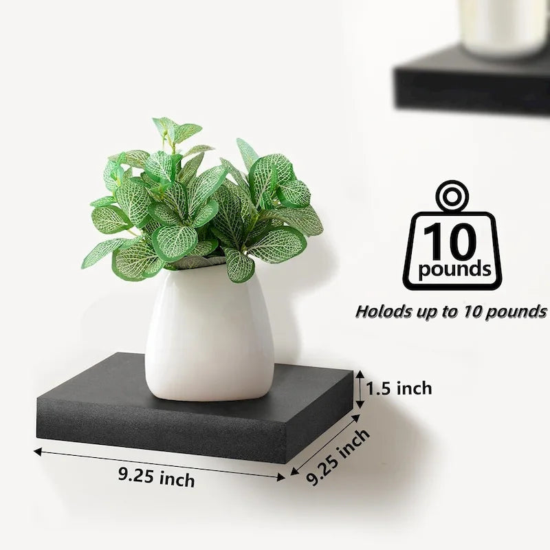Floating Shelf for Wall 14