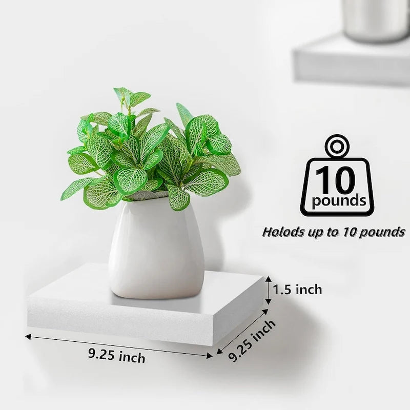 Floating Shelf for Wall 18