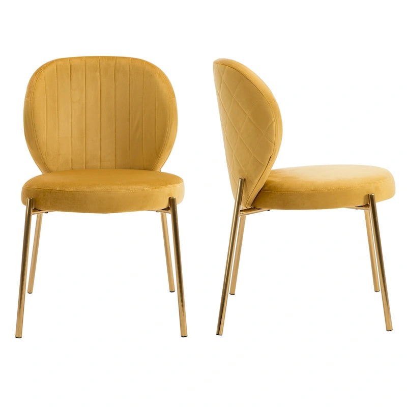 Velvet Dining Chairs Small Cute Accent Chairs with Golden Metal Legs Set of 2 20