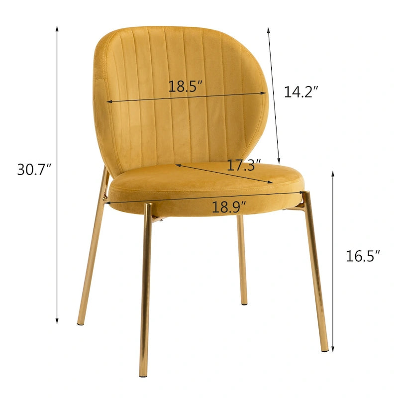 Velvet Dining Chairs Small Cute Accent Chairs with Golden Metal Legs Set of 2 4