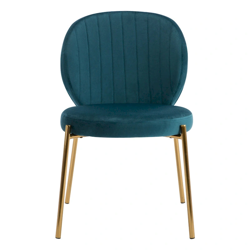 Velvet Dining Chairs Small Cute Accent Chairs with Golden Metal Legs Set of 2 14