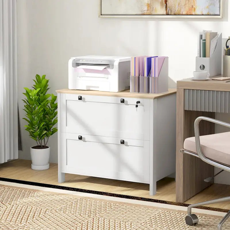 HOMCOM Lateral File Cabinet with 2 Drawers for Home Office, Filing Cabinet with Lock, Adjustable Hanging Bar for Letter, A4 19